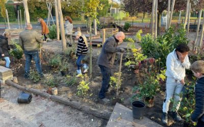 Nieuw groen schoolplein IKC De Appelhof