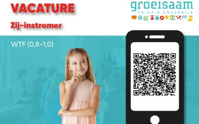 Zij-instromer