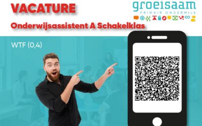 Onderwijsassistent A, Schakelklas