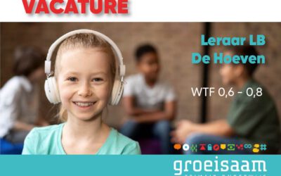 Leraar LB groep 8 De Hoeven