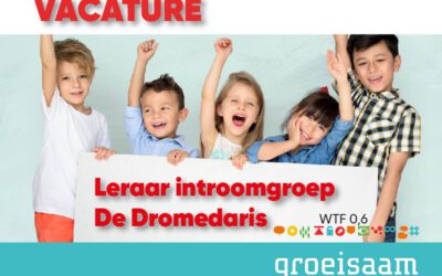 Leraar instroomgroep De Dromedaris