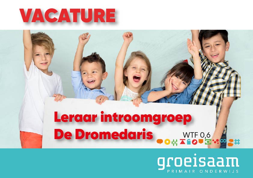 Leraar instroomgroep De Dromedaris