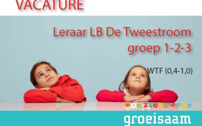 Leraar LB De Tweestroom, groep 1-2-3 (0,4-1,0 fte)