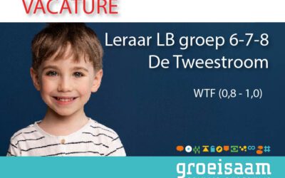 Leraar LB De Tweestroom, groep 6-7-8 (0,4-1,0 fte)