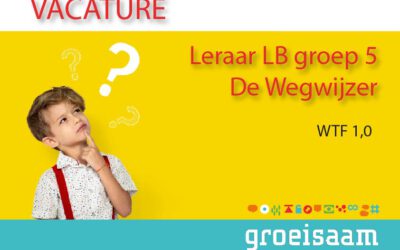 Leraar LB De Wegwijzer, groep 5 (1,0 fte)
