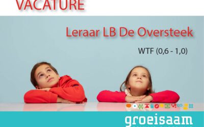 Leraar LB De Oversteek (0,6-1,0 fte)