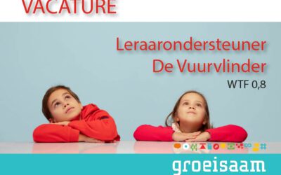 Leraarondersteuner Kindcentrum De Vuurvlinder (0,8 fte)