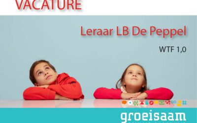 Leraar LB De Peppel (1,0 fte)