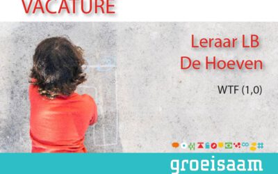 Leraar LB De Hoeven (1,0 fte)