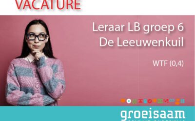 Leraar LB De Leeuwenkuil groep 6 (0,4 fte)