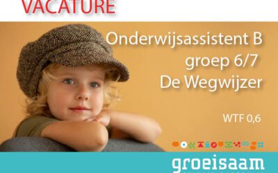 Onderwijsassistent B groep 6/7 De Wegwijzer