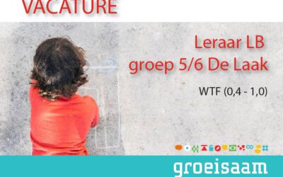 Leraar LB groep 5/6 De Laak